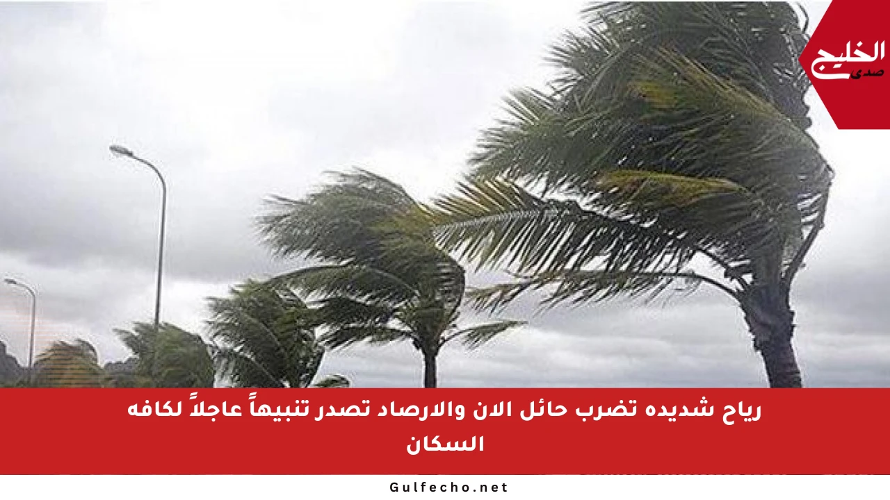 رياح شديدة تضرب حائل الآن والأرصاد تصدر تنبيهاً عاجلاً لكافة السكان